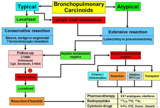 Fig. 2. Treatment options in bronchopulmonary NETs, including both typical and atypical carcinoids