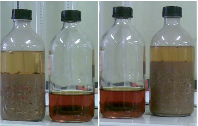 Figura 7.12- Colorazione risultata dalla prova del contenuto in sostanza organica per il materiale  riciclato fraz