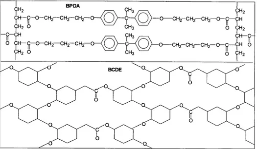 Fig. 1.3 Reticoli polimerici formati dalla polimerizzazione del derivato diacrilato del bisfenol A e 