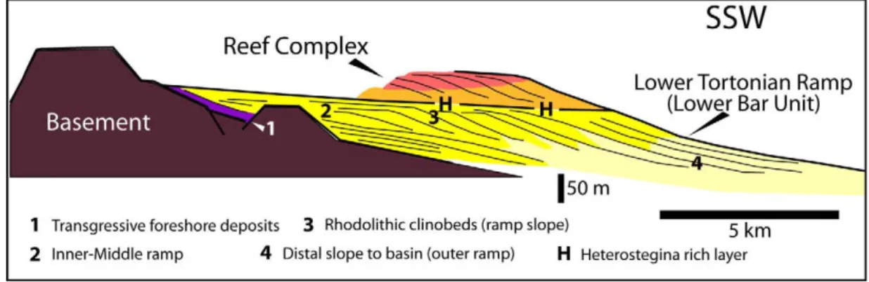 Fig. 2.8 Synthetic cross-section of Menorca, showing the stratigraphic relationships of Upper Miocene depositional  units