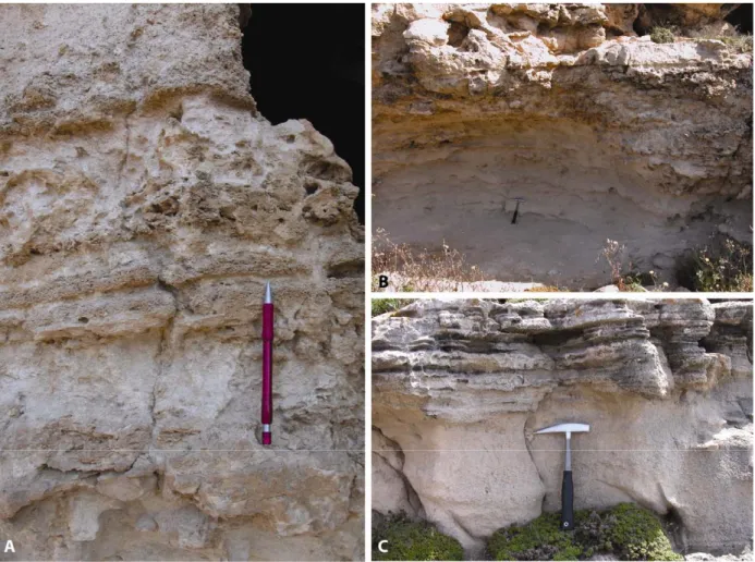 Fig. 3.4.1.3 Facies Fa, planar parallel lamination characterizing the facies with alternation of more erodible to strata  with ones more compact: this effect to the uneven distribution of dolomitization