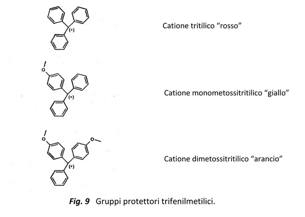 Fig. 10 Metodo del fosfodiestere  Fig. 9   Gruppi protettori trifenilmetilici. 