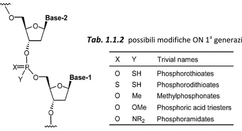 Fig. 18  ON di prima generazione a base DNA