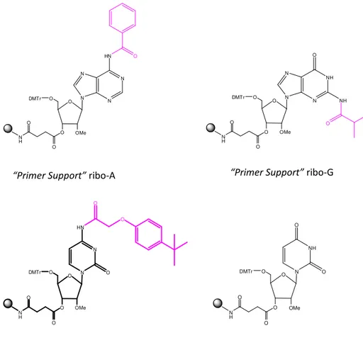 Fig. 31  Primer Support 200 TM  per la sintesi di oligoribonucleotidi 2’-OMePS