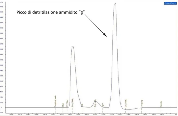Fig. 37 Picco di assorbimento UV-VIS, step di detritilazione per un nucleotide “g”