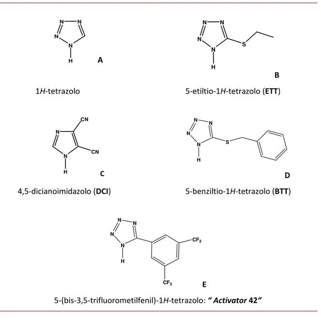 Tab. 1.2.3: Struttura chimica dei più comuni agenti attivanti 