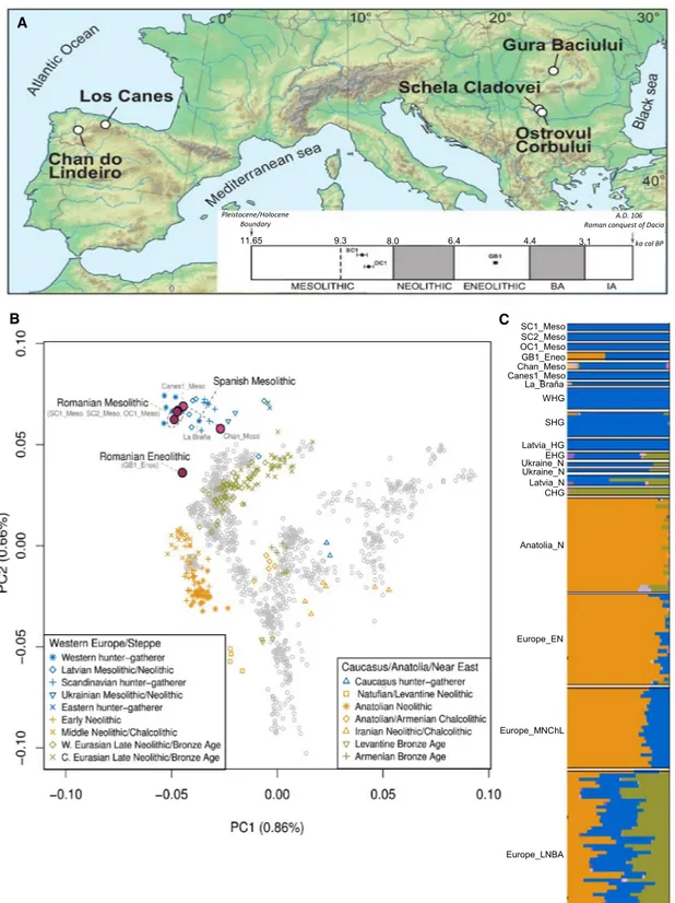 Figure 1. Geographical, Archaeological, and Genetic Information for the Ancient Spanish and Romanian Samples
