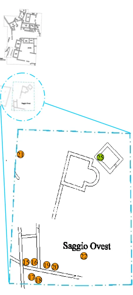 Fig. 2 - Pianta ingrandita del Saggio Ovest del sito medievale con indicati