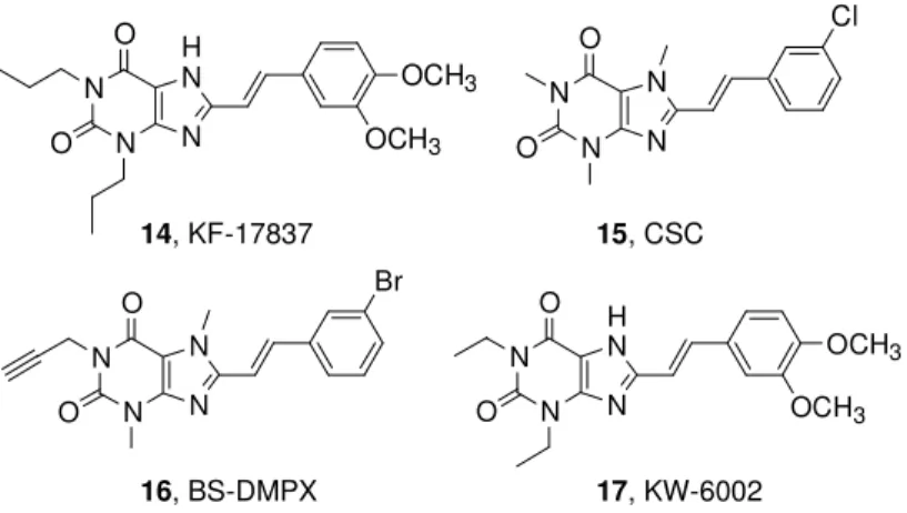 Figure 5. A 2A  AR antagonists (styrylxantine).