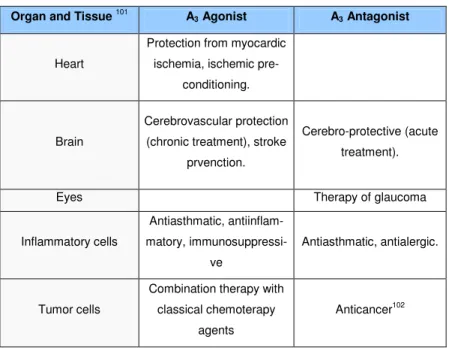 Table 2 . Distribution and therapeutical potential of A 3  AR 
