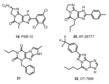 Figure 7.  A 3  AR antagonists (xanthines).