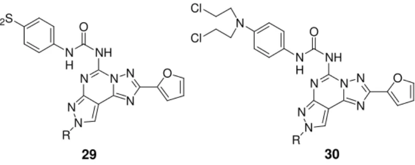 Figure 11. A 3  irreversible antagonists.