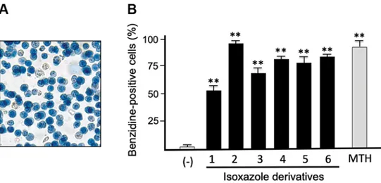 Figure 7. Effects of synthetic isoxazole derivatives on erythroid differentiation of K562 cells