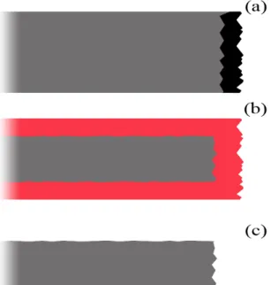 Figure 2.1 Removal of lattice damaged region induced by  mechanical dicing. Region black in (a) rapresent damaged layer  generated during crystal dicing