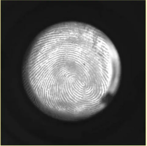 Fig. 10: photograph of a latent mark captured by a coaxial episcopic  illuminator. 