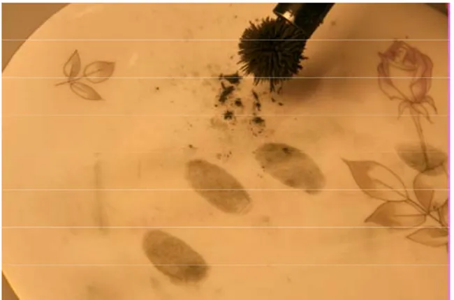 Fig. 15: Fingerprint enhanced with magnetic powder applied by a  magnetic brush.  