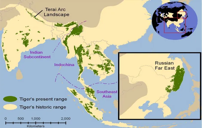 Figure 1.2. Historic and present range of leopards 