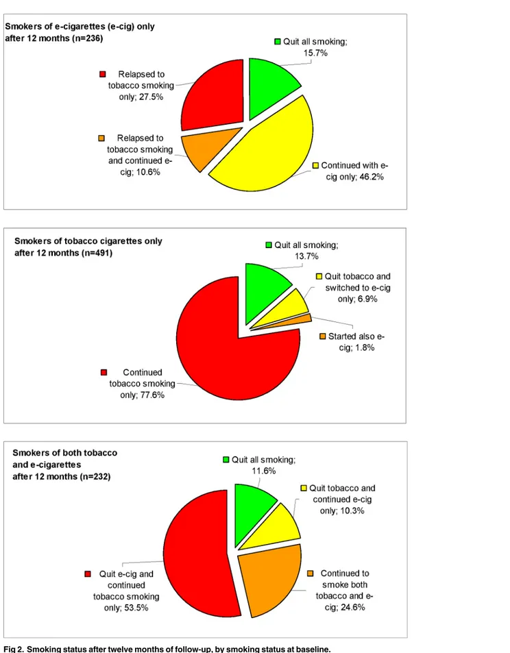 Fig 2. Smoking status after twelve months of follow-up, by smoking status at baseline