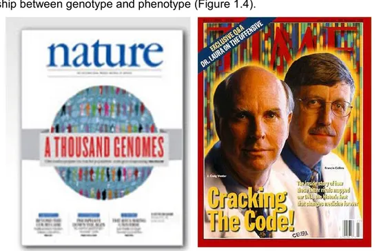 Figure  1.4:  Cover  of  Nature  and  Time  journals.  The  impact  of  1KGP  on  scientific  community  but 