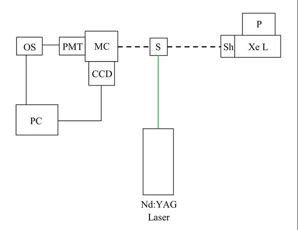 Fig. 2.3. Schematic layout of the Nanosecond Laser Flash Photolysis setup: green line, excitation 