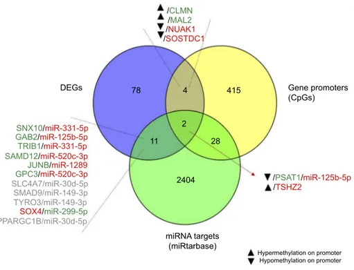 Figure 7 Integrated miRNA–mRNA–methylation regulatory networks.