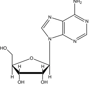 Figure 1 – Chemical structure of adenosine 