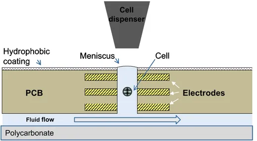 Figure 1. Biosensor principle, schematic cross section. This biosensor represents a novel concept 
