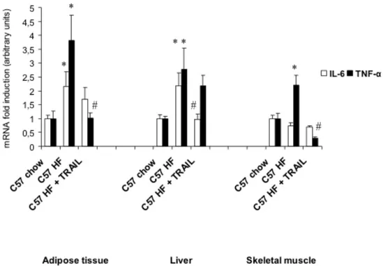 Figure	
   7 .	
   Gene	
   expression	
   of	
   pro-­‐inflammatory	
   cytokines.	
   (A)	
   Adipose,	
   hepatic	
   and	
   muscular	
   mRNA	
   expression	
  of	
  IL-­‐6	
  and	
  TNF-­‐α	
  in	
  C57	
  chow,	
  C57	
  HF	
  and	
  C57	
  HF	
  +	