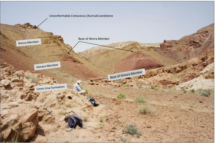 Fig. 7 - Al Mamalih section 1, showing the Upper Permian Umm Irna Fm. fluvial sandstone in the foreground and small ridge dipping to the  left; red siltstone and fine-grained sandstone of  the Himara Member overlain by green-grey calcareous siltstone and s
