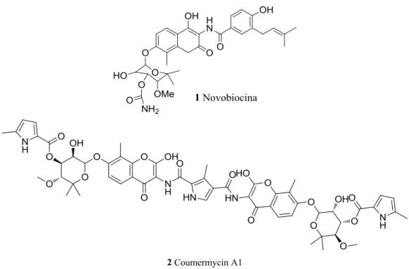 Figure 1.6 Chemical structure of novobiocin and coumercyn A1. 
