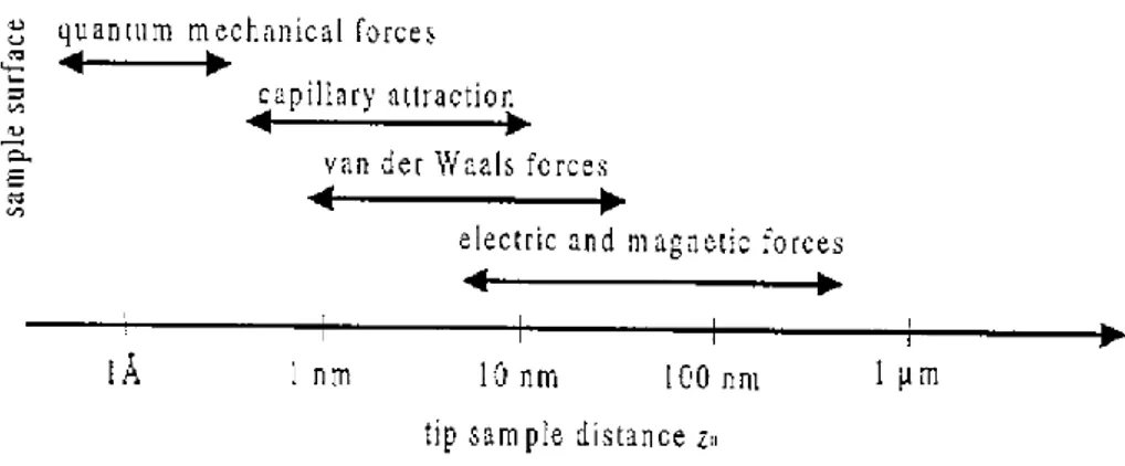 Figure 2: action of attractive and repulsive forces and their working distances. 