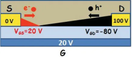 Figure 3.10: Schematic representation of both carriers injection in an ambipolar OFET.