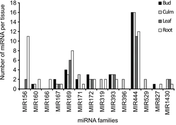 Figure 2.  Number of mature miRNAs present in different tissues (bud, culm, leaf and root) of A