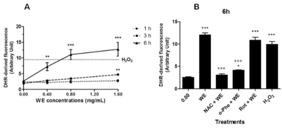 Figure 4. Reactive oxygen species (ROS) generation in WE-treated cells: (A) Jurkat exposed to increasing concentrations of WE for 1 h, 3 h or 6 h