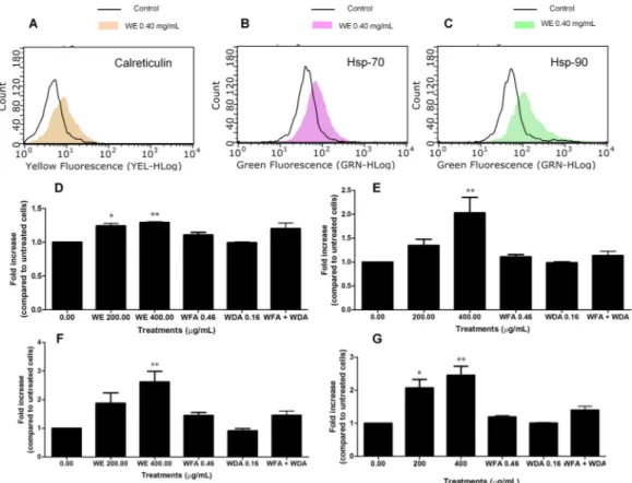 Figure 6. Fluorescence hystograms of: immunolabeled calreticulin (A); Hsp-70 (B); and Hsp-90 (C)