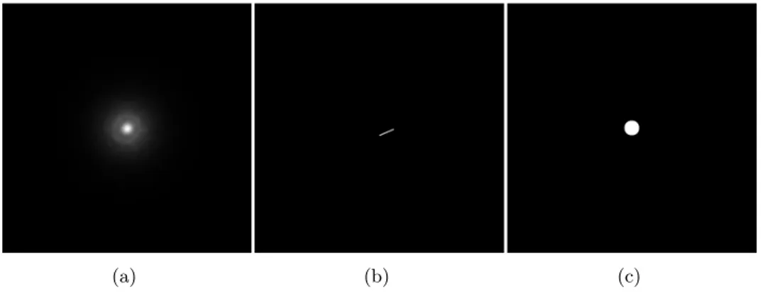 Figure 1.1: Examples of Point Spread Functions in imaging. 1.1(a): telescope; 1.1(b): motion blur; 1.1(c): out–of–focus blur.
