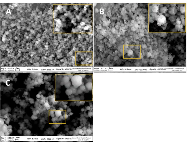Figure 1. SEM micrographs with magnifications of 5000 times of: (A) MC90; (B) MC50; (C) MC10