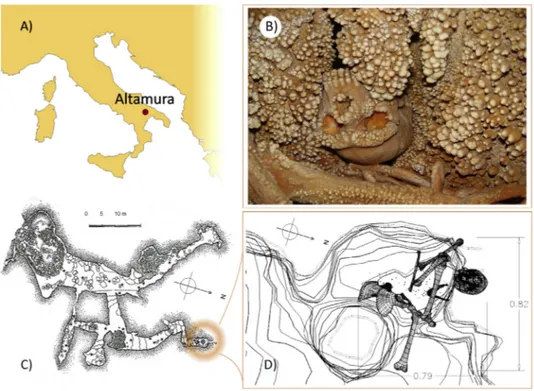 Figure 1. A) Position of Altamura within the Italian peninsula; B) hominin bones and calcite formations around the cranium (part of the mandible and right femur are visible); C) general topography of the northern part of the Lamalunga karstic system; note 