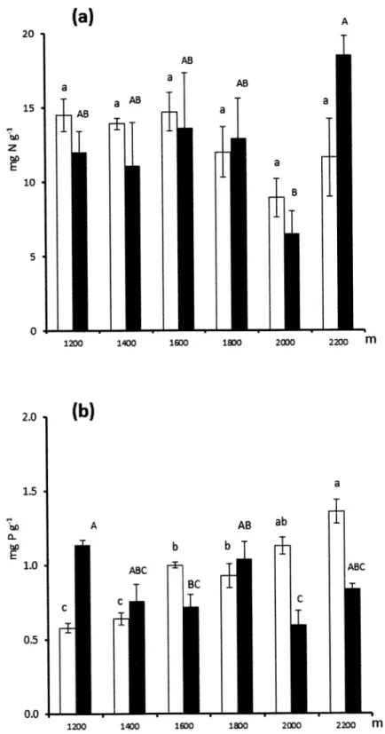 Fig 2. Soil nutrient contents across altitudinal gradients. Mean ( ± SE) total soil N concentrations (a) and total soil P concentrations (b) across altitudinal gradients on carbonate bedrock (empty bars) and silicate bedrock (full bars)