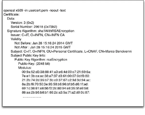 Figure 1.2: X.509 Certificate example