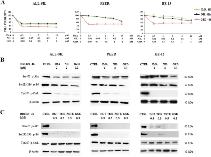 Figure 3: Effectiveness of Imatinib, Nilotinib and GZD824 in ALL-SIL, PEER and BE-13 cell lines
