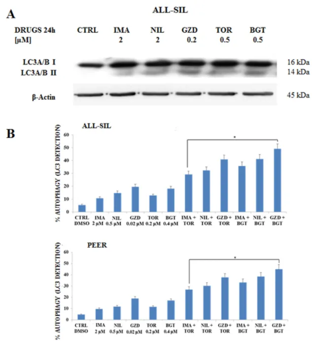Figure 6: Imatinib, Nilotinib and GZD824 with BGT226 or Torin-2 induced autophagy in NUP214-ABL1-positive  T-ALL cell lines