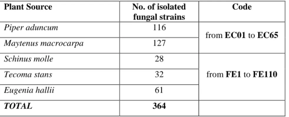 Table 1 - Plant source, number of isolated endophytic fungi from each species and identification code 