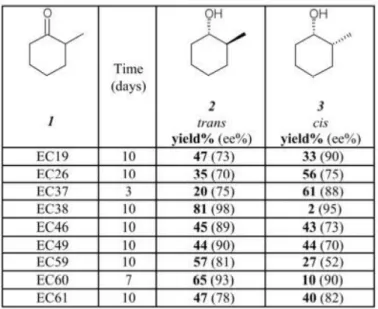Table 6 – 2-methyl-cyclohexanone biotransformation products 