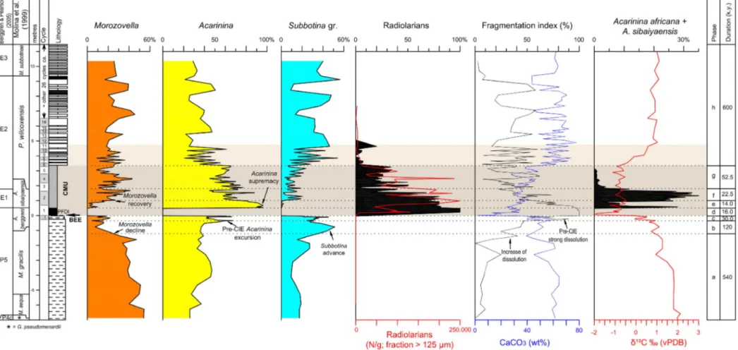 Fig. 8 - The planktic foraminiferal record at Forada section. Main changes in planktic foraminifera, radiolarians, fragmentation-index, CaCO 3 , δ 13 C across the PETM