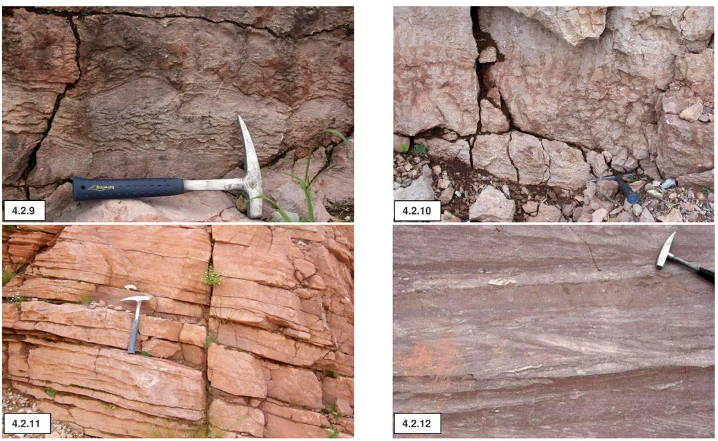 Foto 4.2.12 - Encrinite del M. Verzegnis (facies calcarenitica). Stratificazione incrociata bisensoriale visibile sulla superficie di taglio di un blocco cavato