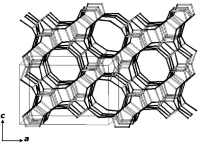 Fig.  5.3.  Canale  rettilineo  che  si  estende  lungo  la  direzione  [010].  In  neretto  sono  evidenziati  gli  anelli  a  10  T  che  delimitano il canale stesso