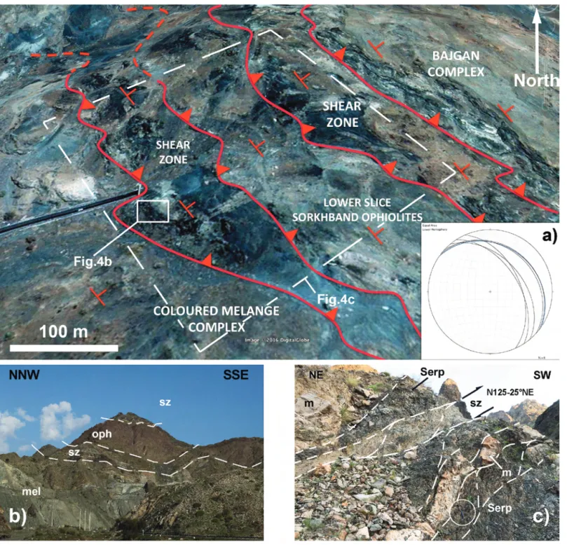 Fig. 4 - Relationships among the Coloured Mélange Complex, the Sorkhband ophiolites and the Bajgan Complex in correspondence of the tunnel along the road 91, 17 km west of Manujan (modified from Google Earth image)