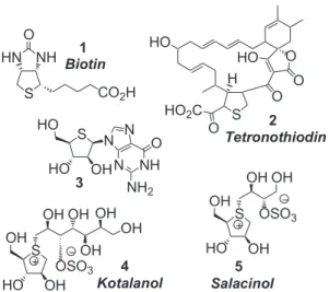 Fig. 1. Structure of bioactive tetrahydrothiophenes 1e5.