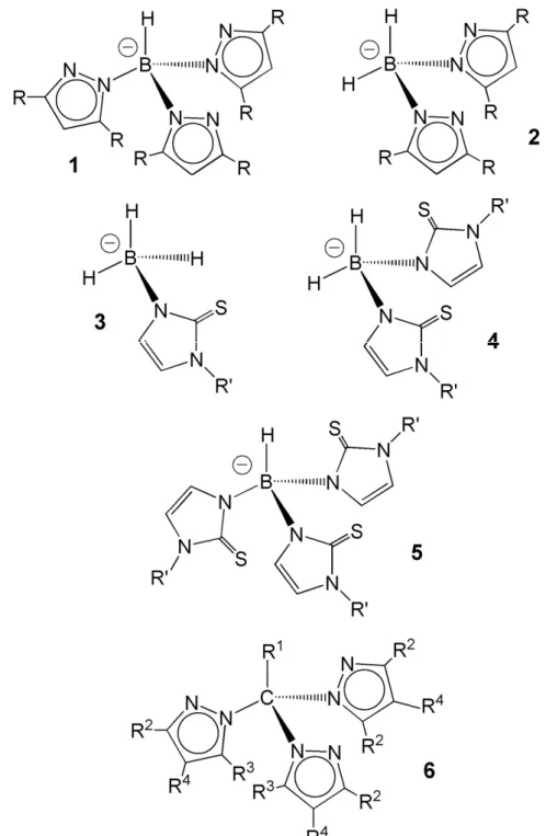 Figure 1. Schematic drawings of the chemical structure of scorpionate ligands.  Poly(pyrazolyl)borates, [HB(R 2 pz) 3 ] −   (1,2), poly(mercaptoimidazolyl)borates [HB(Rmz) 3 ] −  (3), 